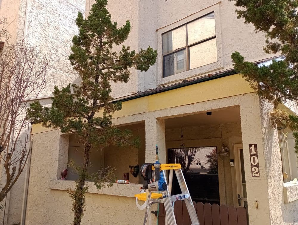 Exterior view of a home with a ladder, tree, and porch, showcasing maintenance work.